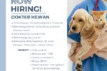 Job Vacancy drh. Mima Vet Clinic