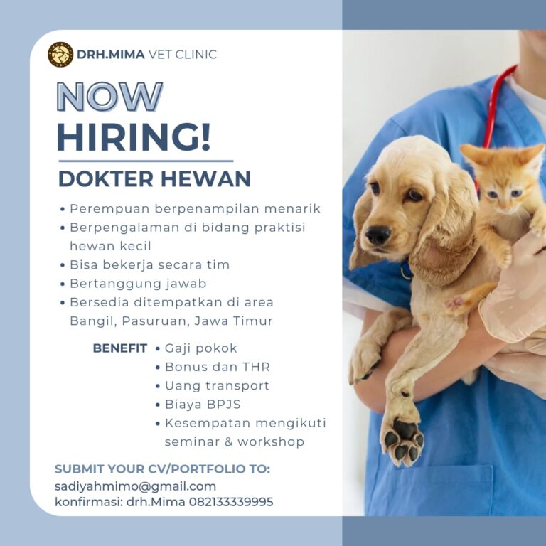 Job Vacancy drh. Mima Vet Clinic